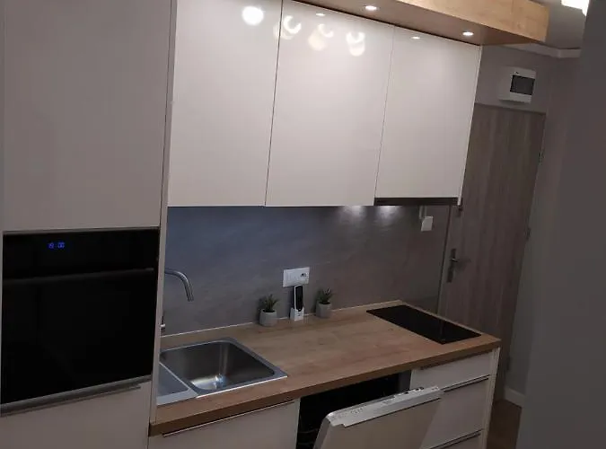 Lägenhet med 1 sovrum